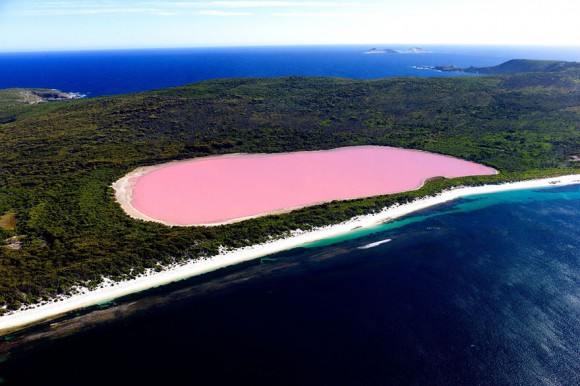 Różowe jezioro Hillier - Australia